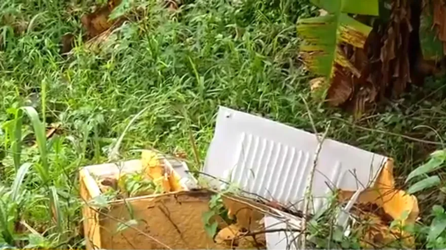 Comunidades inundadas en San Diego comienzan a volver a la normalidad