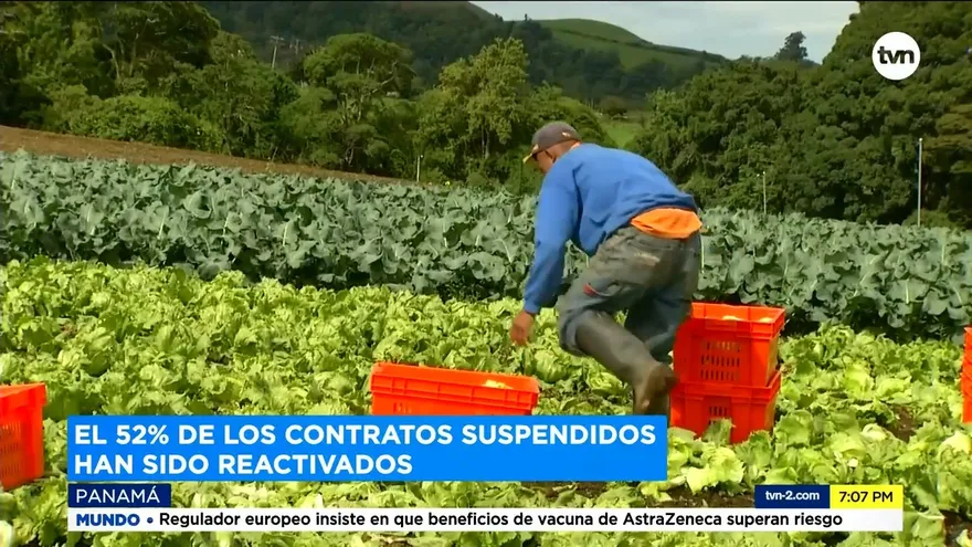 Reglas para el regreso gradual de los trabajadores