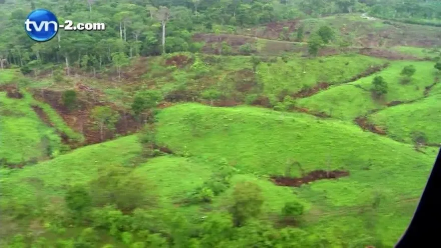 Darién, el pulmón de Panamá, está en riesgo por la tala ilegal