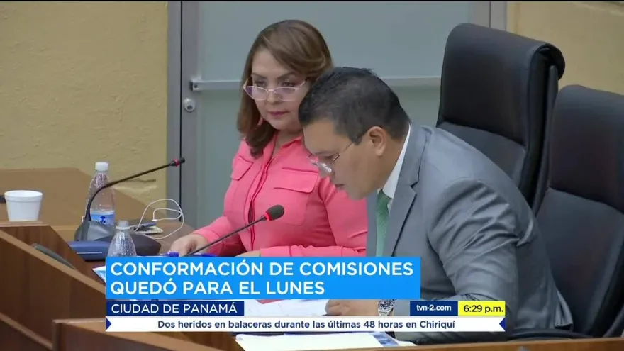 Conformación de comisiones pasará al Pleno de la Asamblea