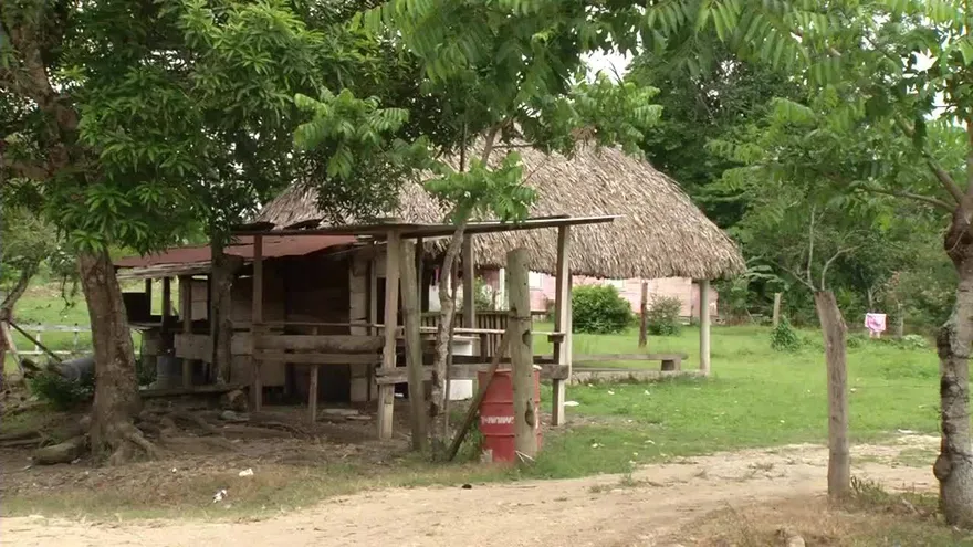 Denuncian ola de robos sin control en Tortí