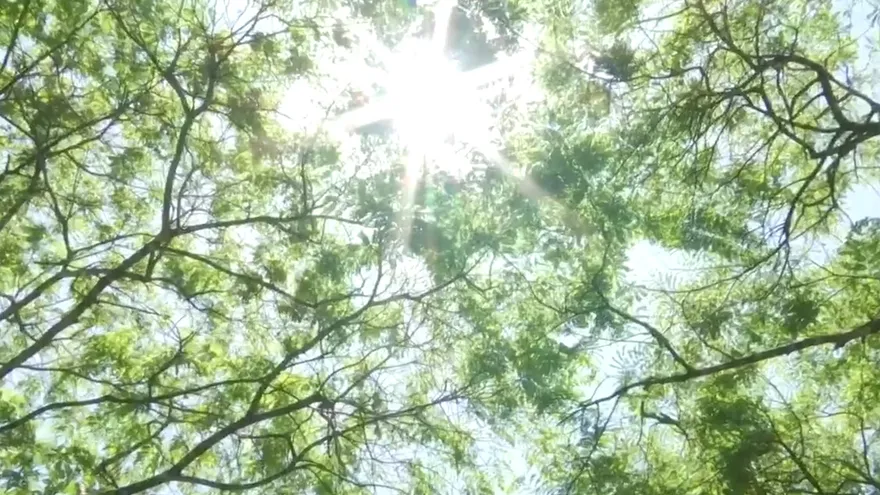 Este sábado se conmemora el Día Mundial de la Tierra