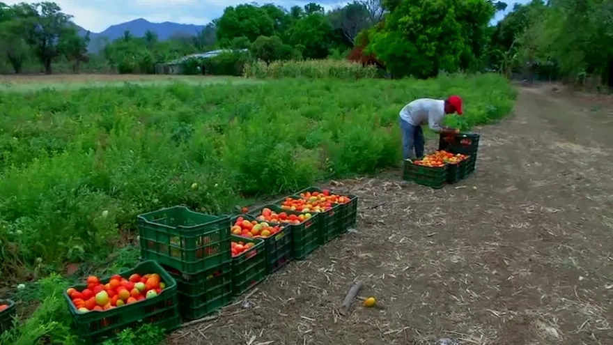 Mici firma acuerdo para mejorar exportaciones