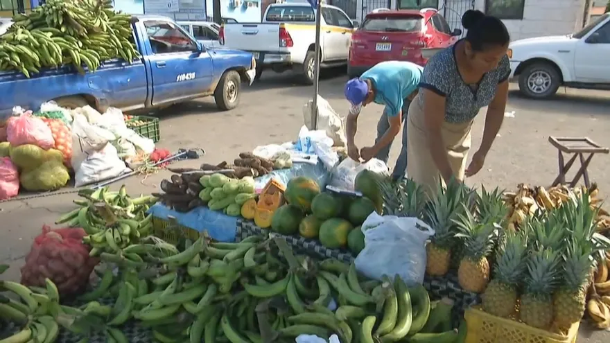 El análisis sobre la seguridad alimentaria en Panamá
