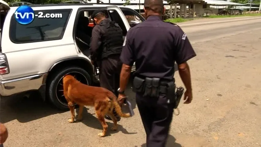 Decomisan 54 kilos de drogas en Chepo