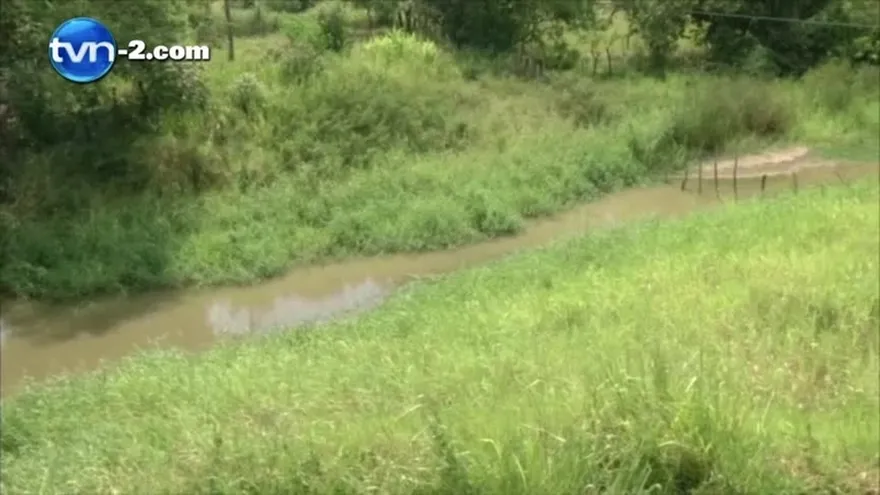 Sequía en Coclé afecta a miles de productores