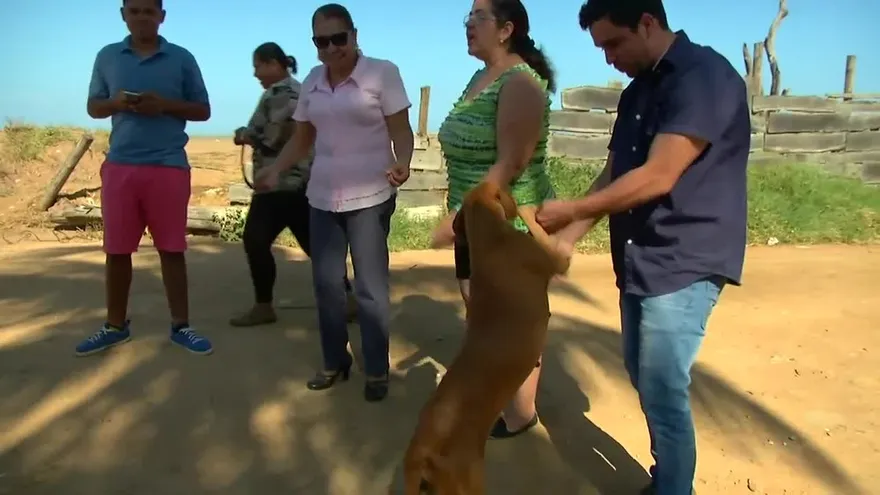 Persona que maltrate a un animal podría ir a la cárcel