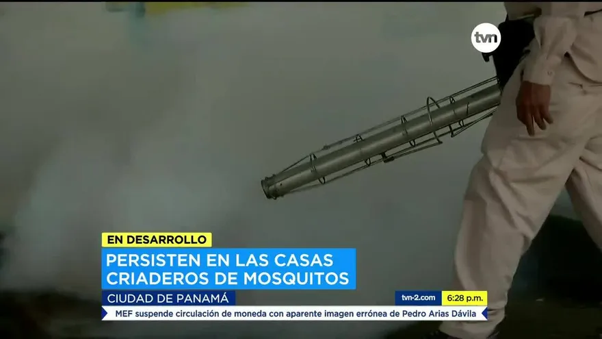 Preocupación por criaderos del mosquito Aedes aegypti