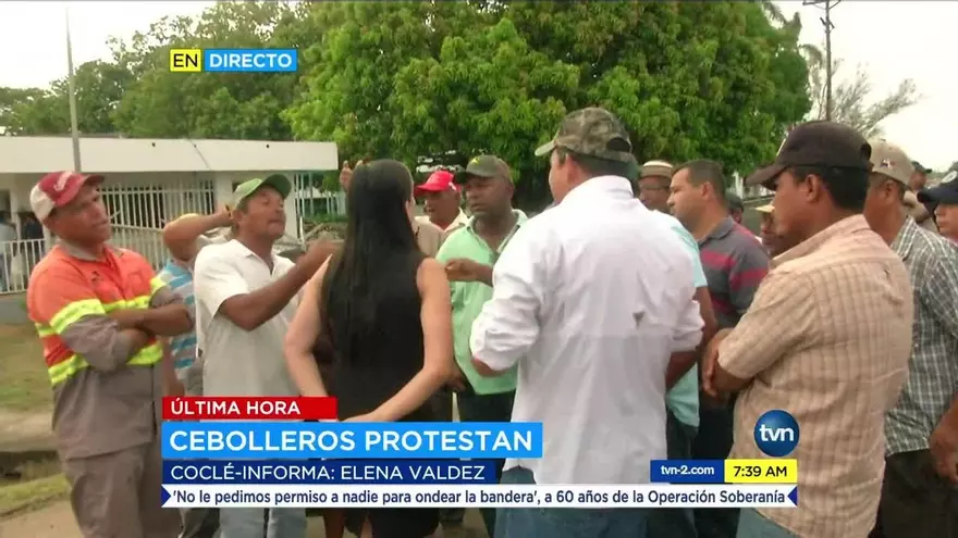 Cebolleros de Natá protestan en la vía Interamericana