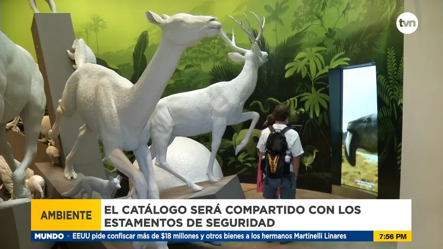 Acciones en contra del tráfico de flora y fauna en el país