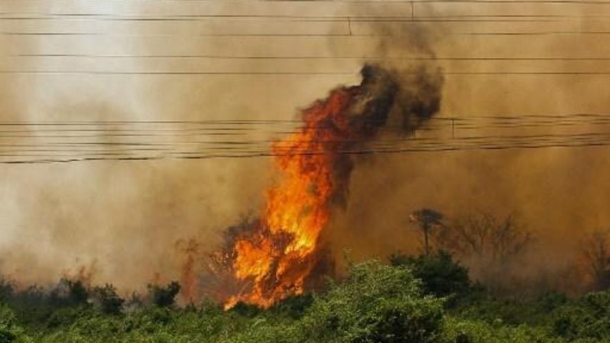 El fuego en la región es impresionante; afecta más de 50 mil hectáreas