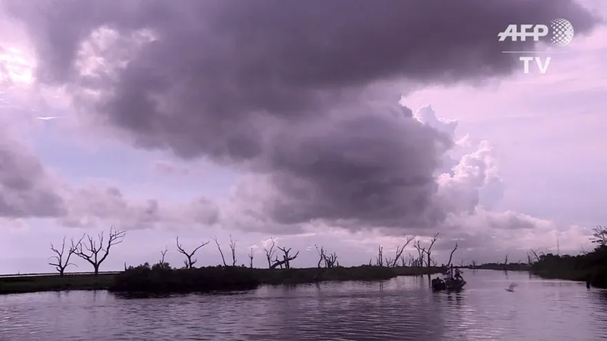 Una isla tragada poco a poco por el agua