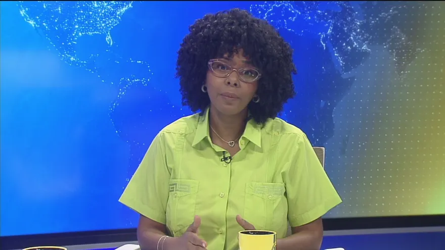 Diputada Chandler: ‘no buscamos censurar a nadie, sino transparentar la publicidad en redes’