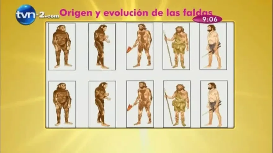 Origen y evolución de las faldas