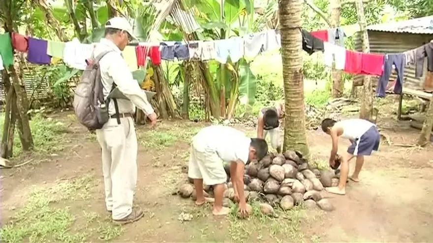 Aumentan casos por dengue en Chiriquí