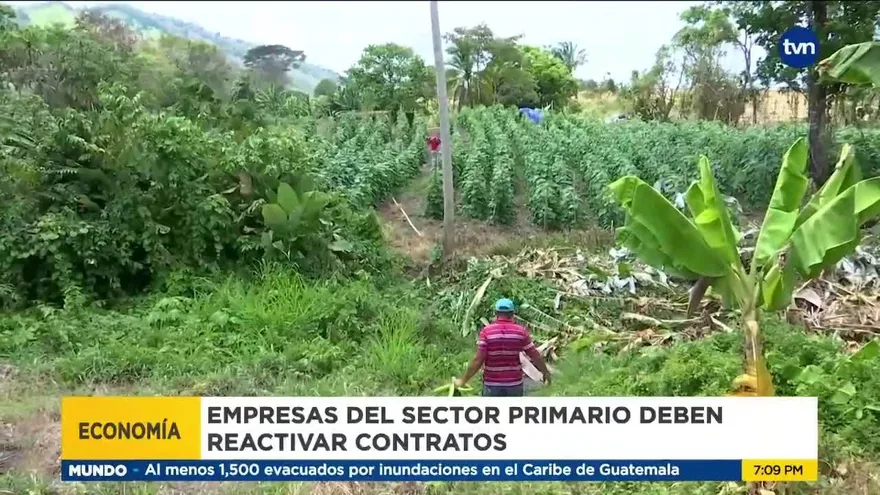 Ministerio de Trabajo publica lista de empresas