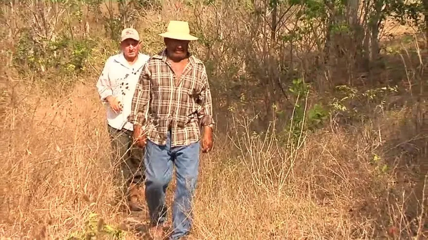 Sólo han pagado dos millones a productores y ganaderos afectados