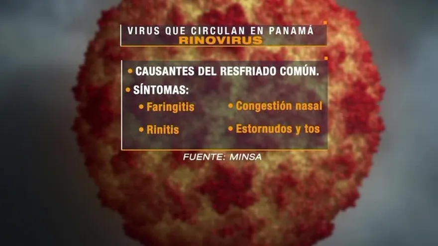 Existen otros virus gripales