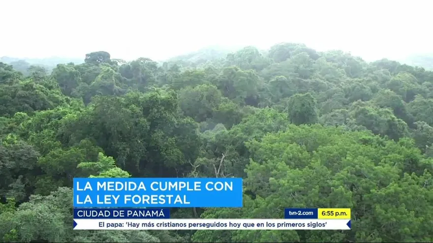Ambientalista celebran decisión de MiAmbiente
