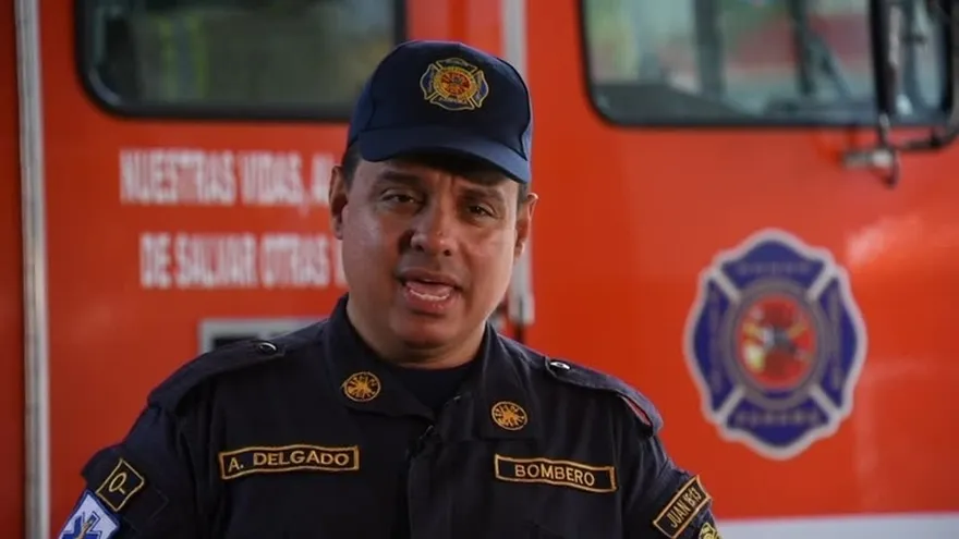 Medidas de seguridad en Navidad: Las luces del arbolito