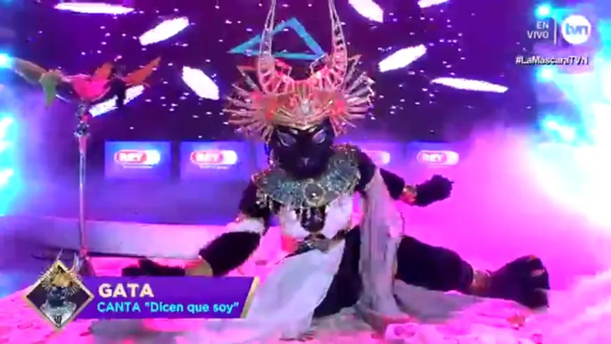 Gata presentación tercera gala