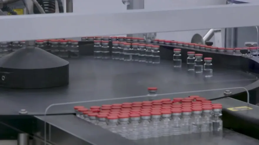 Brasil tiene "capacidad" de iniciar vacunación contra covid-19 en el primer trimestre de 2021