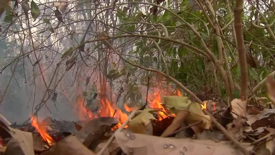 Consecuencias de las quemas