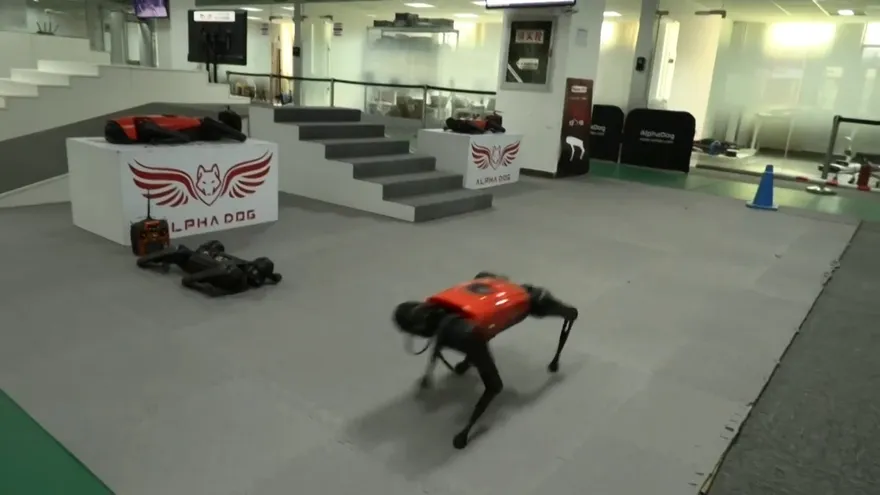 Los perros-robot, el último grito tecnológico en China