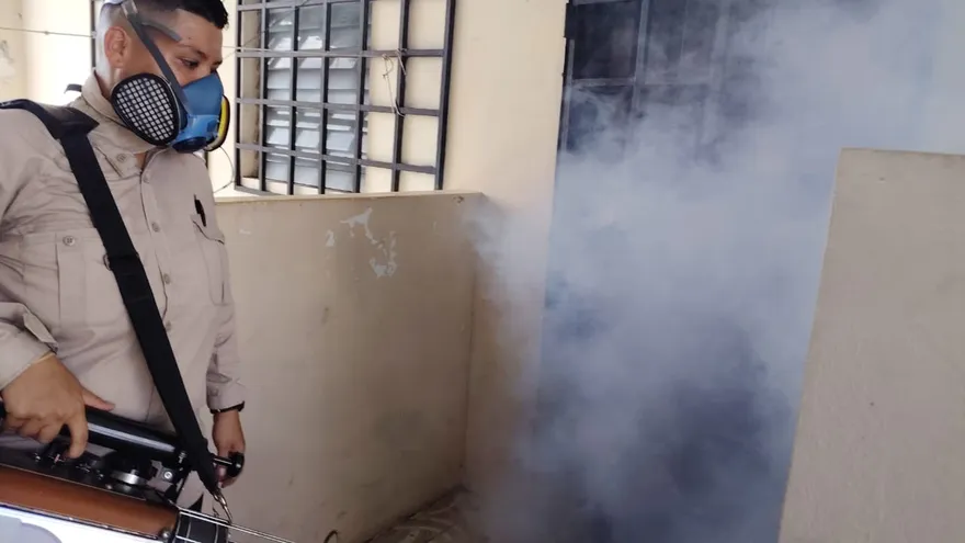 Ministerio de Salud reporta incremento de casos de dengue en Chiriquí