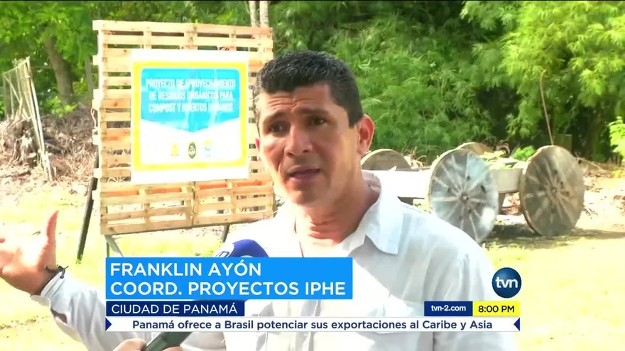 El compostaje: una opción ante el problema de la basura