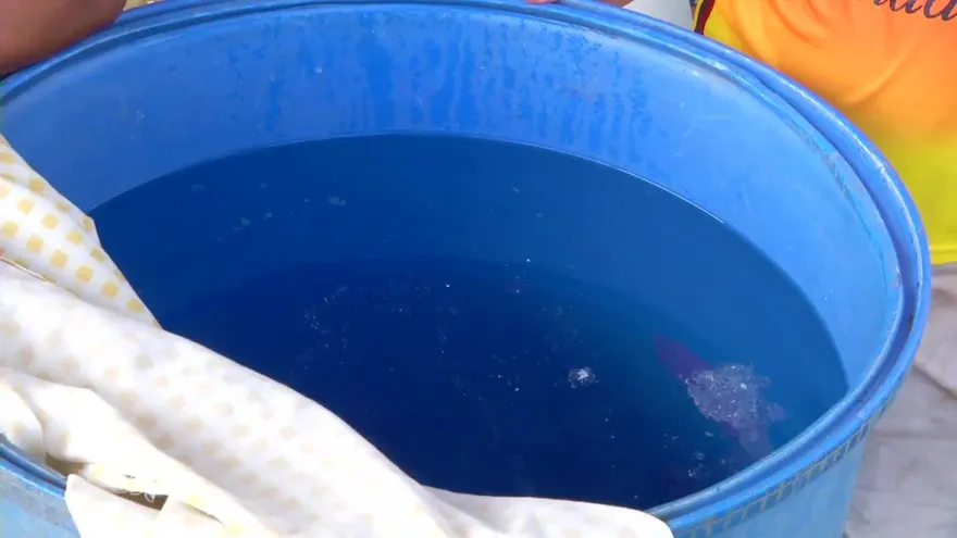 Alarmante cifra de casos de dengue en San Miguelito