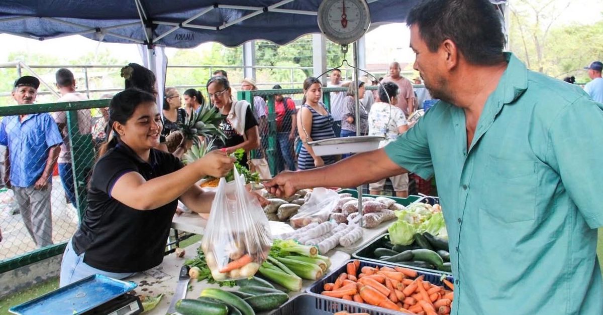 Agroferias del IMA: Conozca dónde se realizarán este martes