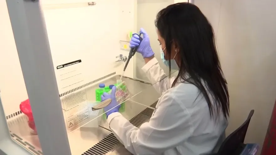 Refuerzan Centro Nacional de Influenza