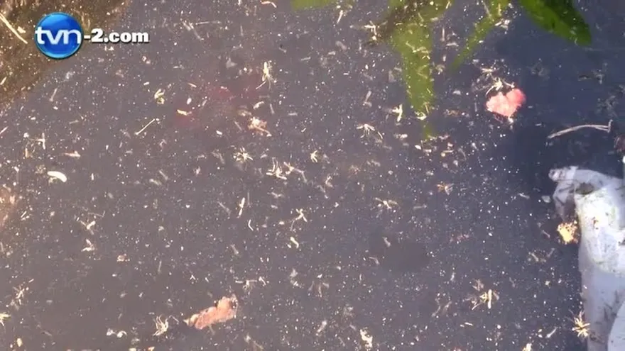 Corregimientos en el país con altos niveles de dengue