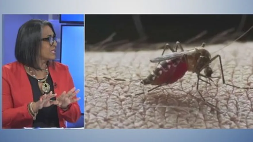 Bloque 2 Radar: Alerta sanitaria por aumento de casos de dengue