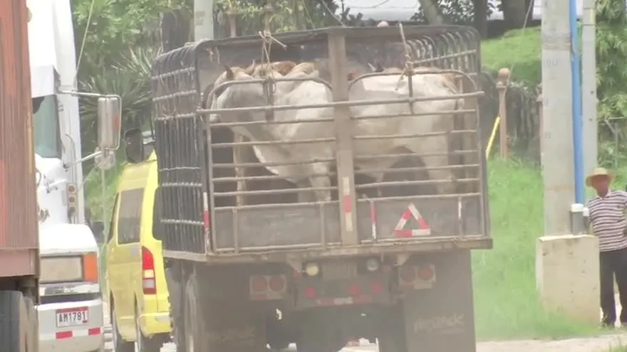 Protesta por mal estado de las calles en Darién