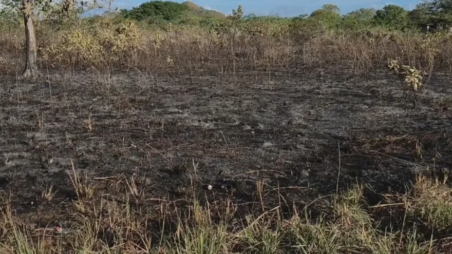 Zonas afectadas por incendios en herbazales y áreas forestales