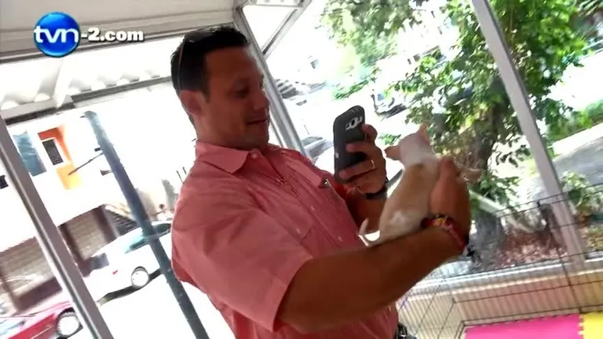 MASCOTAS DE BOLSILLO