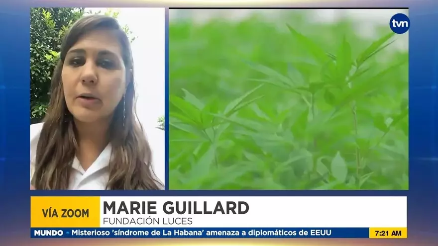 Aprobación en segundo debate del uso de Cannabis, una esperanza para muchos pacientes