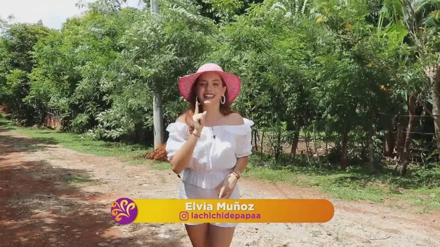 Hecho en Panamá 27 de Junio de 2020