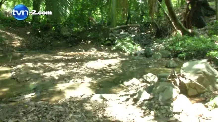 Sequía afecta a Panamá Este