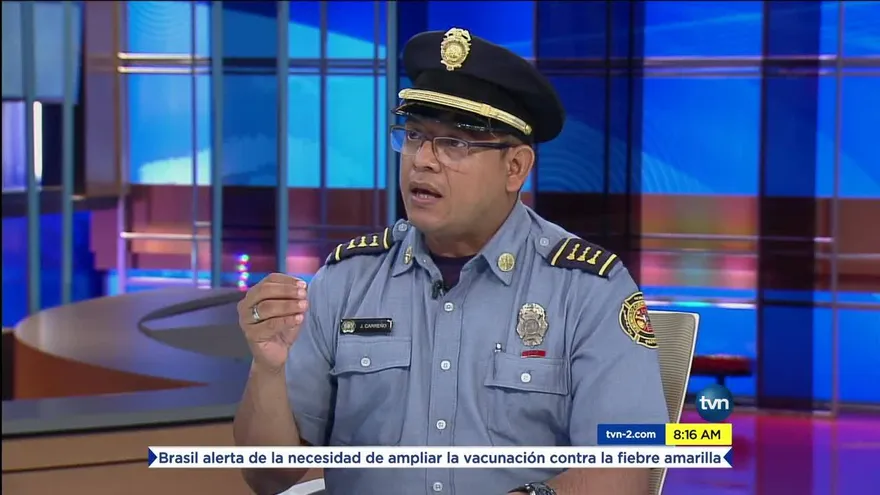 Bomberos de Panamá instruyen cómo reaccionas ante la presencia de un panal de abejas