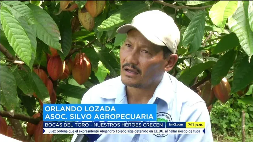 La historia detrás de Silvo Agropecuaria, Héroe por Panamá