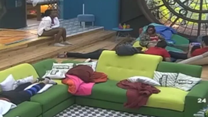 Milca nerviosa con su misión