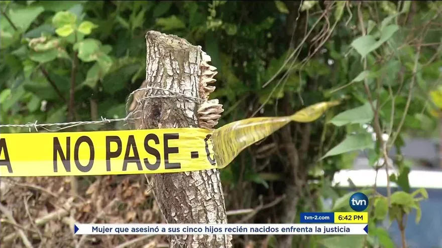 Revelan encuesta sobre seguridad en Panamá