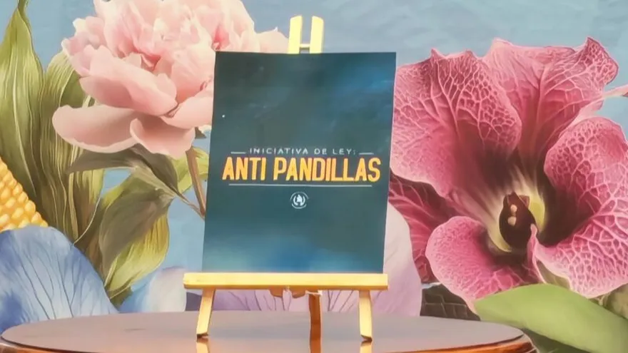 El Ministerio de Gobernación Guatemala presentó la Ley Antipandillas