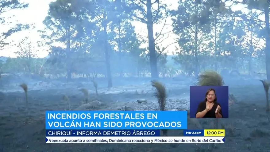 Investigan los incendios de masa vegetal provocados en Chiriquí