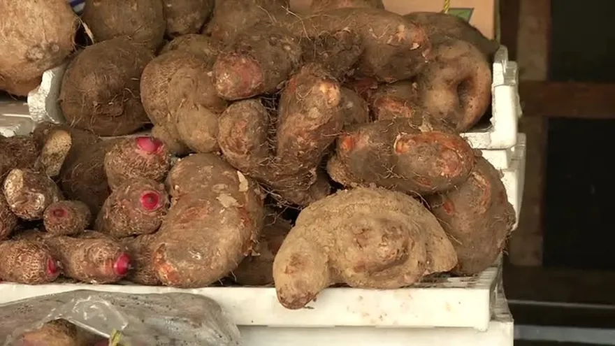 Reaccionan al aumento de las lentejas y el ñame