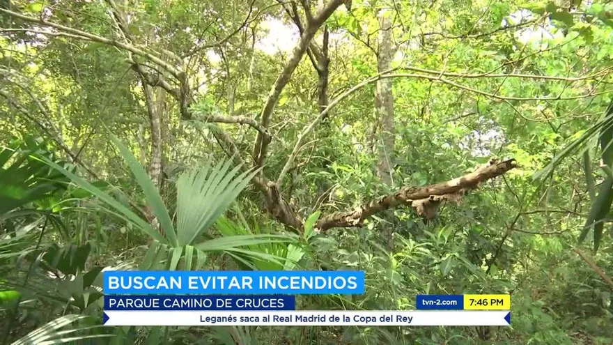 Se mantienen vigilante del programa “Un Millón de Hectáreas”