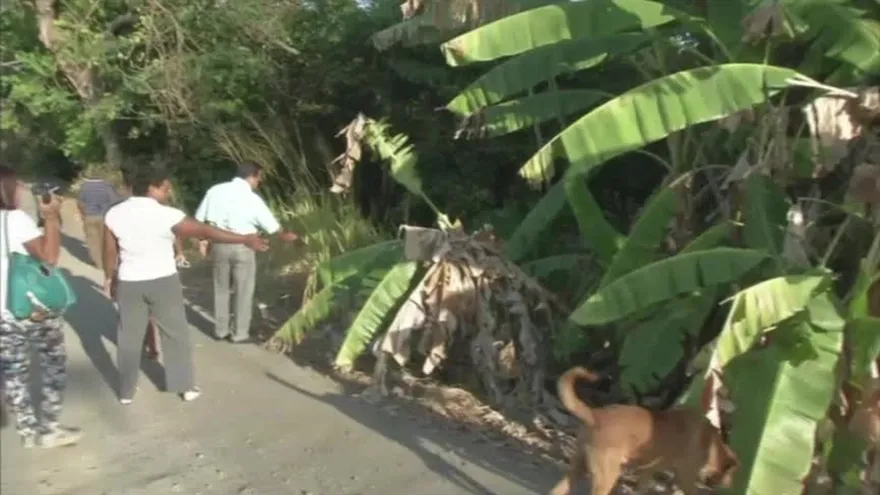 Residentes de Penonomé temen se desate una epidemia por exceso de basura